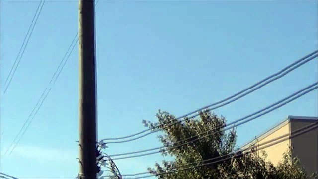 Daytime UFOs over Quebec, Canada