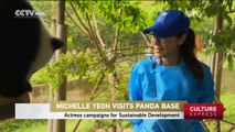 Michelle Yeoh campaigns for Sustainable Development at China's Panda Base near Chengdu