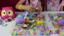 ORBEEZ Owl Surprise Eggs Disney Frozen MLP Kinder Surprise Kid Friendly Kids Video KiddieToysReview