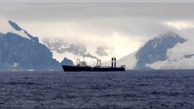 Krill fishing threatens Antarctic ecosystem, warn conservationists