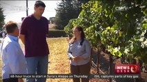 Chinese basketball star Yao Ming scores in wine business