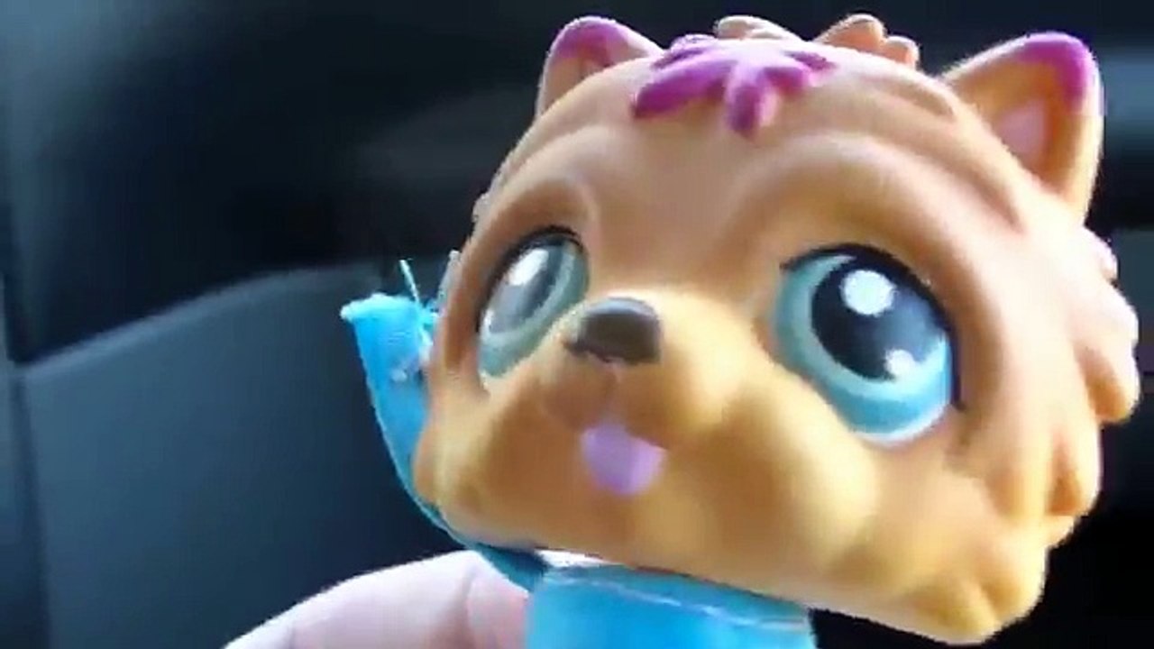 LPS Shopping + Epic Haul! (THANKS MOM!!!)