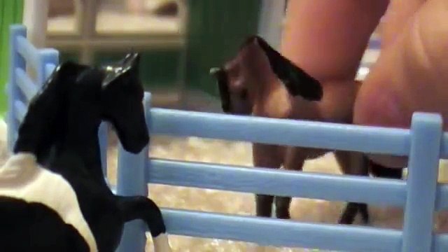 Birth of a New Foal - Jenna Foaling Breyer Mini Whinnies Horses Movie Part 0