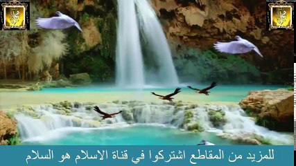 الكل قدر امه و الكثير اهان اباه مقطع مؤثر