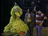 Classic Sesame Street - Big Bird and the Sun (Part 4)