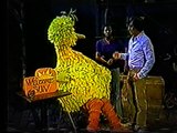 Classic Sesame Street - Big Bird and the Sun (Part 2)