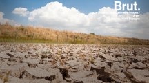 L'écosystème unique du parc de Doñana est menacé