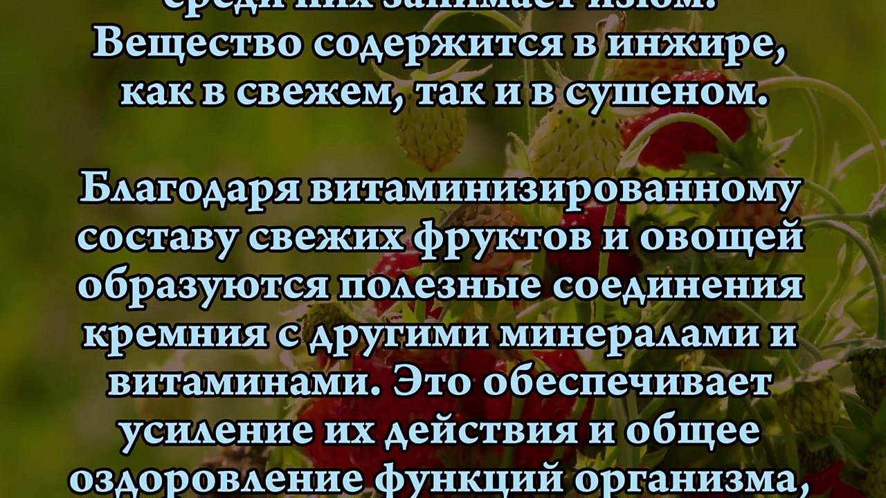 КРЕМНИЙ. В КАКИХ ПРОДУКТАХ СОДЕРЖИТСЯ?