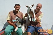 Espaço Dog também oferece adestramento de cães na cidade de Sousa