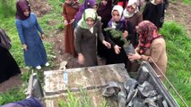 Tenzile Erdoğan Hatıra Ormanı oluşturuldu - DİYARBAKIR