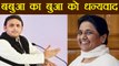 Gorakhpur, Phulpur By-Election की जीत पर Akhilesh Yadav ने किया Mayawati का धन्यवाद | वनइंडिया हिंदी