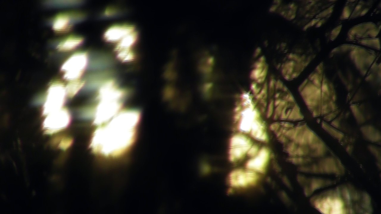 March 14 2018 DL3