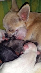 Joyce et ces Bébé nés(e en 2018 video prise  4 jours apres la naissance