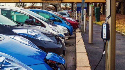 Only Electric Vehicles in INDIA by Year 2030 My Opinions