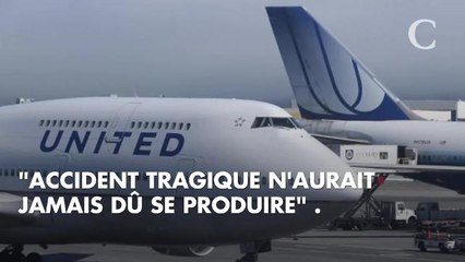 Un steward force une passagère à mettre son chien dans le coffre à bagages d'un avion : l'animal meurt en plein vol