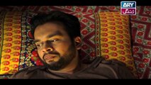 Mein Mehru Hoon Ep 66 - on ARY Zindagi in High Quality 14th March 2018