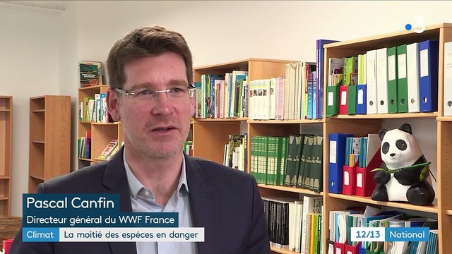 Réchauffement climatique : la moitié des espèces menacée de disparition