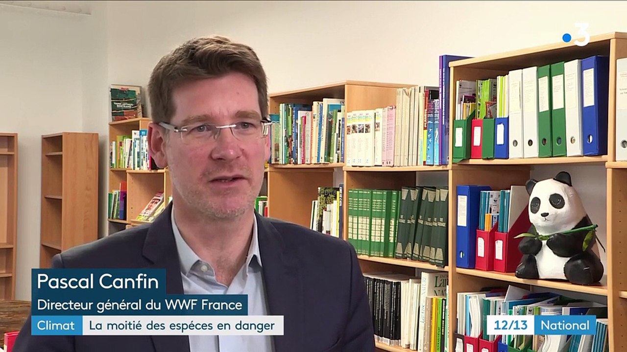 Réchauffement climatique : la moitié des espèces menacée de disparition
