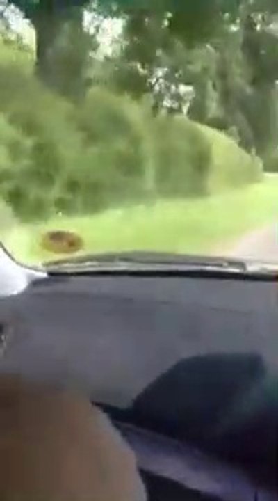 Ces 2 débiles en voiture s'amusent à pousser un cycliste dans le fossé !