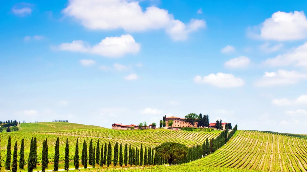 PortWein die Geheimnisse von Axel Probst