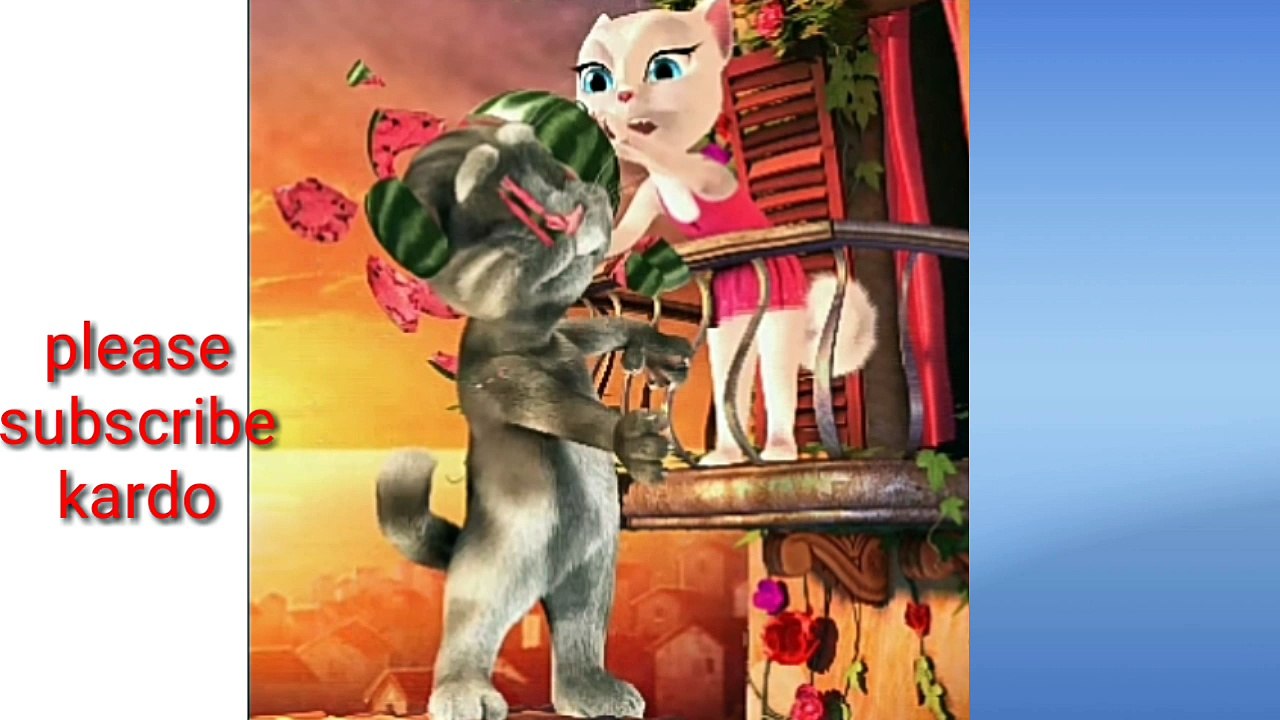 Tery behen ki chu cat comedy video