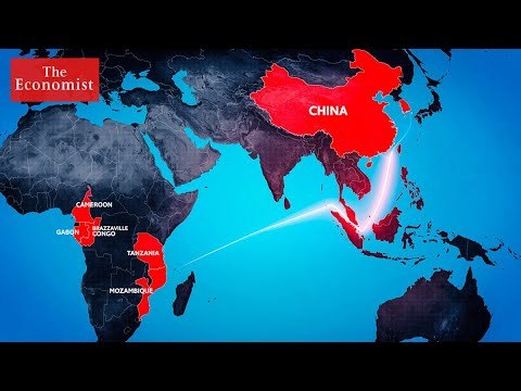 Illegal ivory: where does it come from, where does it go? | The Economist