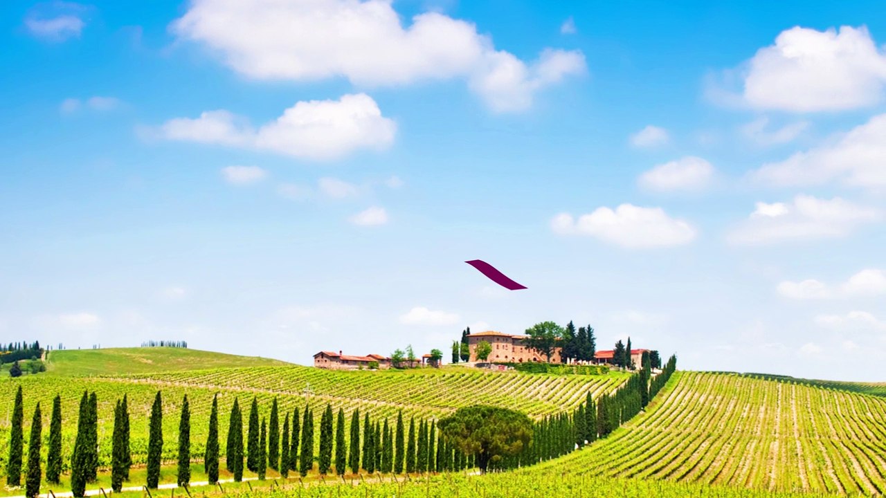 Black Tongue - Schwarze Zunge