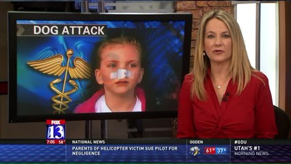 Girl Nearly Loses Nose in Utah Dog Attack