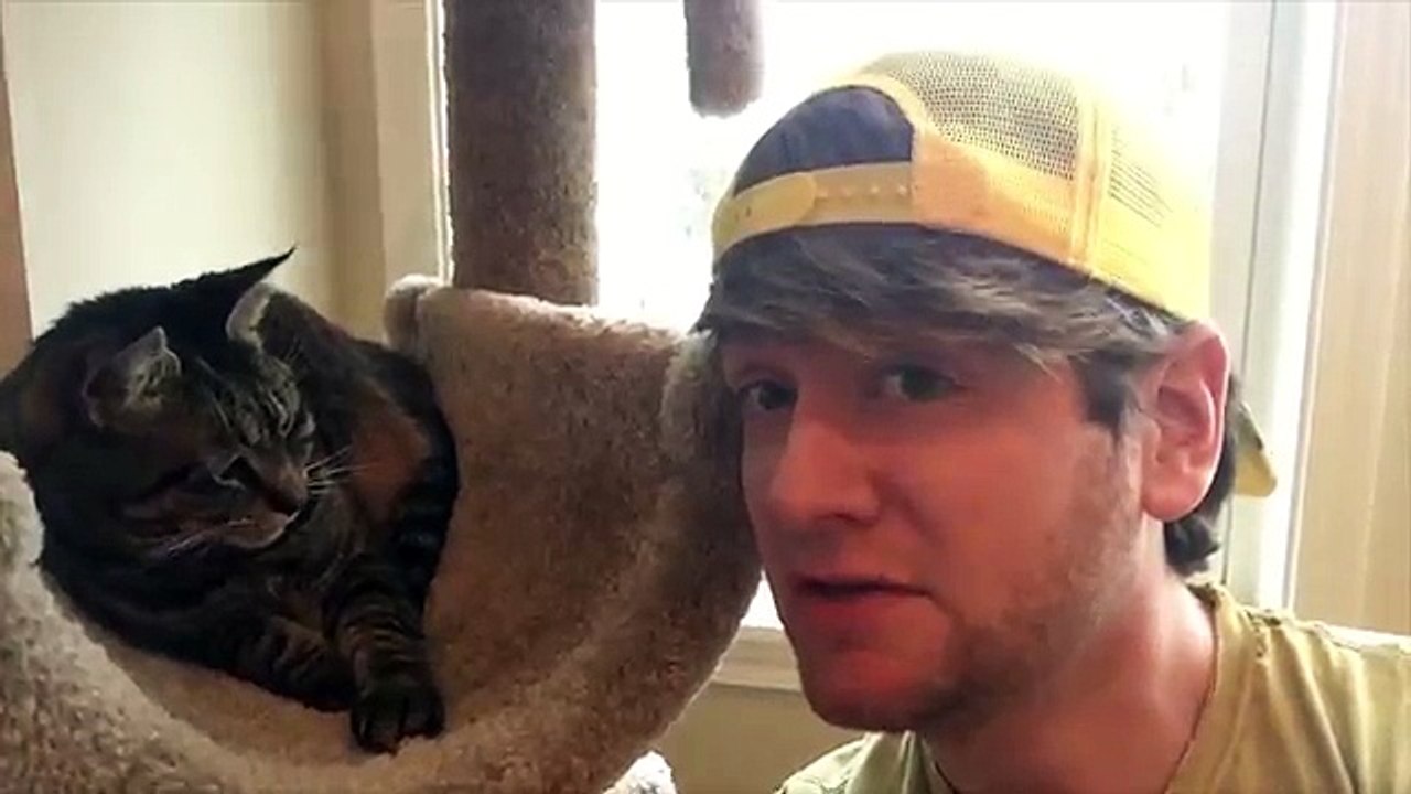 Cat Vlog 3/ Bella is the baby / Dinner Time and Nap Time!