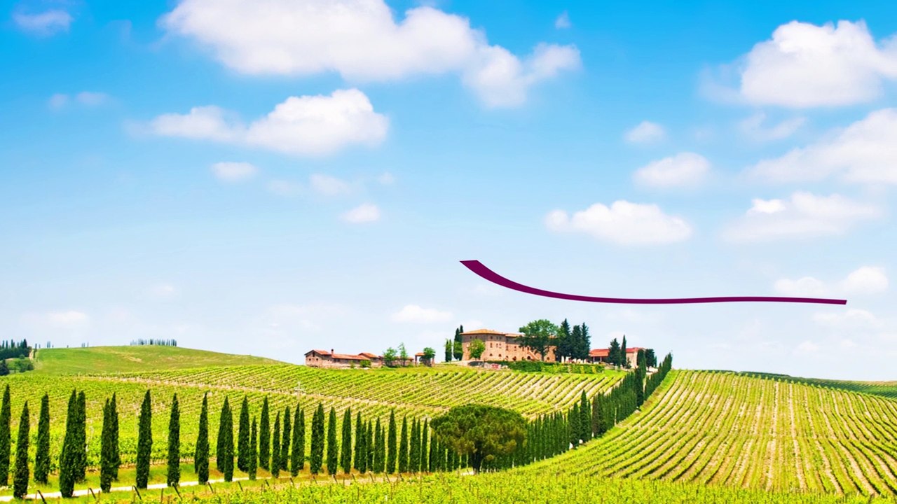 Konrad wines - new zealand wine