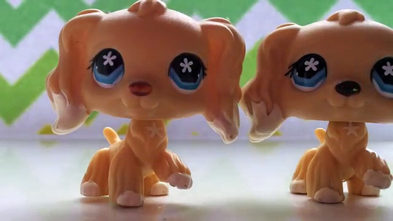 LPS: ALL MY COCKER SPANIELS