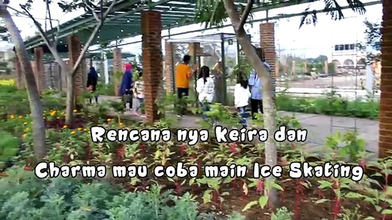 Sapi dikasih dot? Nyuapin kambing dan Kelinci @ Kids Zoo