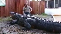 Il s’assoit sur le plus gros crocodile du monde... Courageux