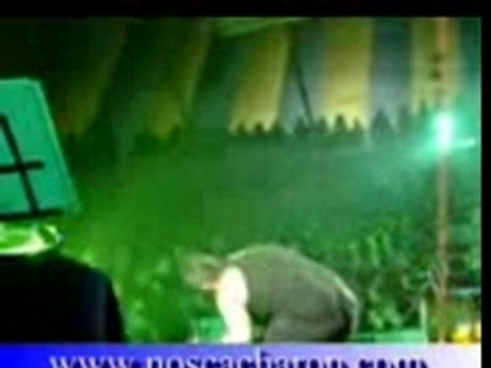 LUPE EN VIVO