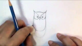 How to draw an Owl