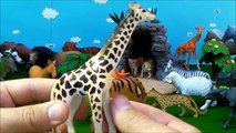 Wild Zoo Animals Cute Happy Toys Animal Safari for childrens! Animales de juguetes!