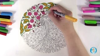 Secret Garden by Johanna Basford Adult Coloring Book Peacock - Family Toy Report