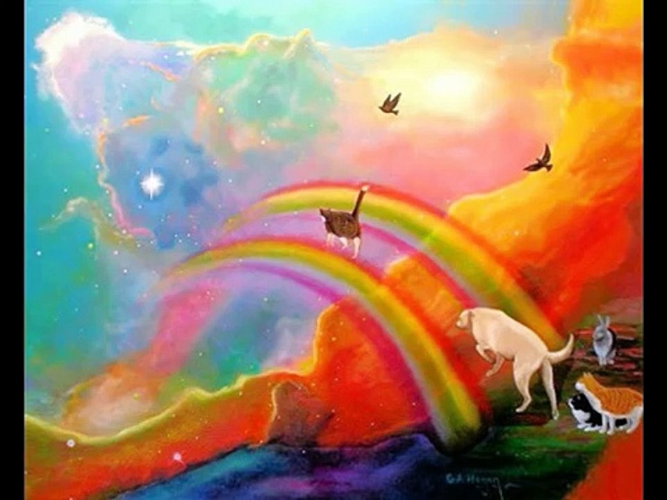 How to recognize signs and symbols from the angels