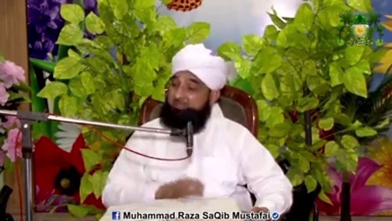 Allama Saqib Raza (9)