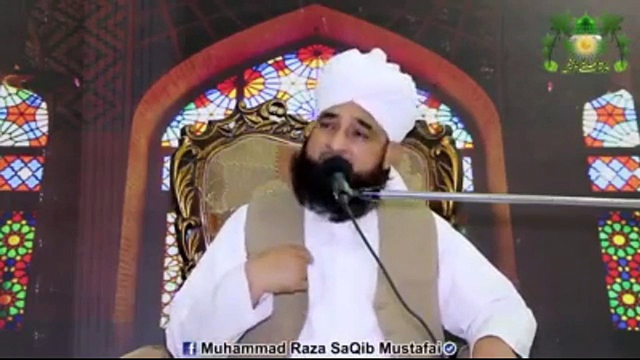 Allama Saqib Raza (13)