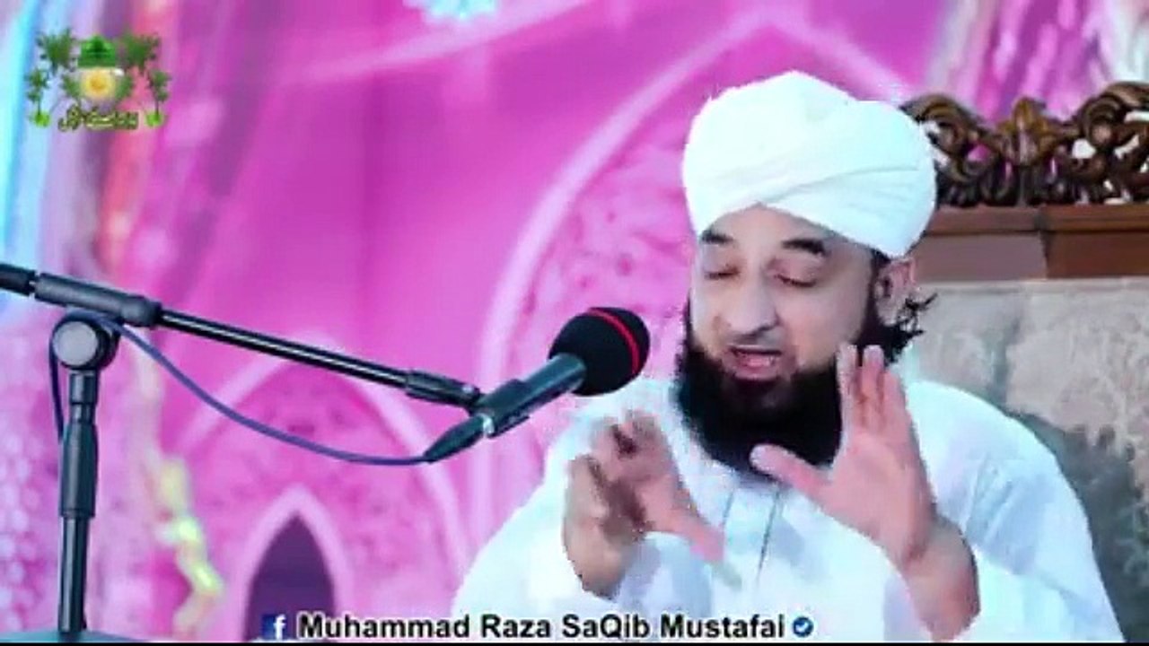 Allama Saqib Raza (14)