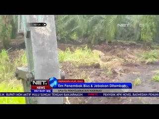 Upaya Penyelamatan Harimau Di Riau NET24