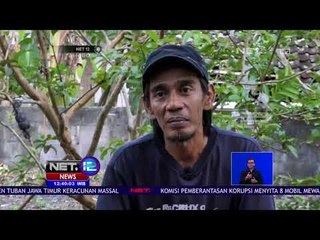 Kaya Manfaat Bernilai Ekonomi Tinggi - NET 12