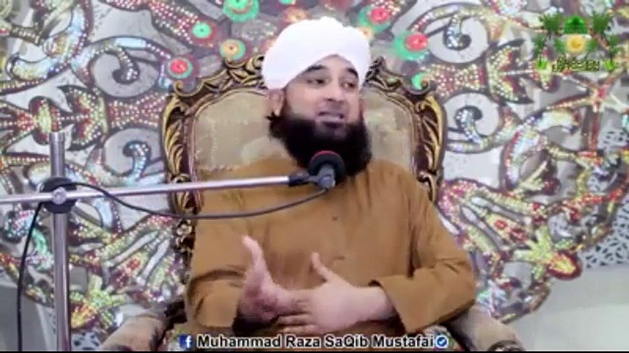 Allama Saqib Raza (18)