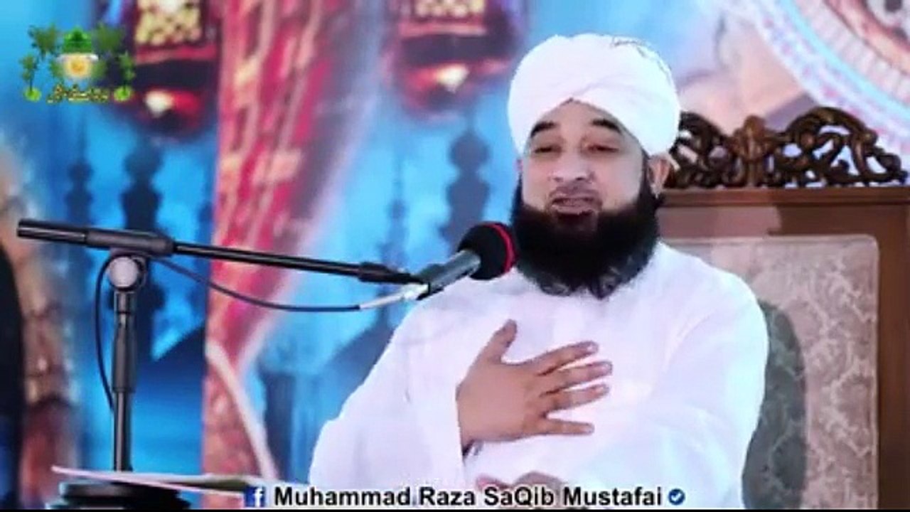 Allama Saqib Raza (21)