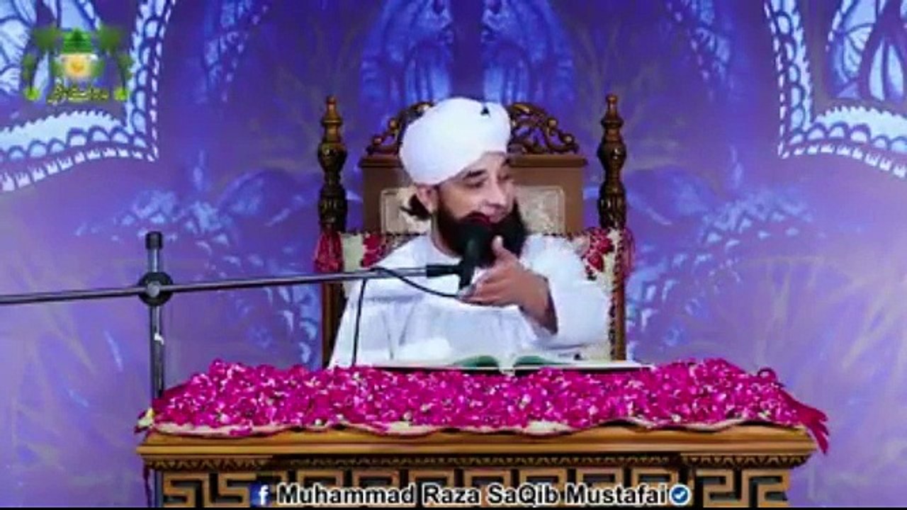 Allama Saqib Raza (22)