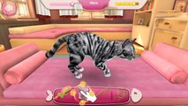 CatHotel Play With Cute Cats & Kittens Totally Cat Tastic Cat Simulator App