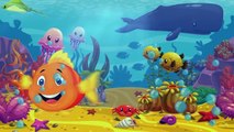 Kırmızı Balık Şarkısı - AfacanTV Çocuk Şarkıları