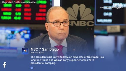 Trump's New Top Economic Adviser Has A History Of Bashing Him