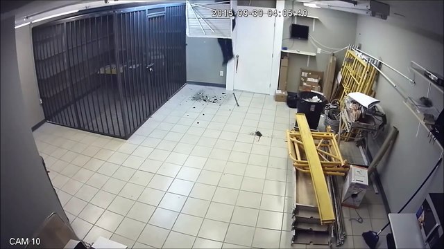 5 САМЫХ НЕЛЕПЫХ ОГРАБЛЕНИЙ СНЯТЫХ НА КАМЕРУ